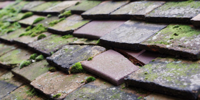 Chislehampton roof repair costs